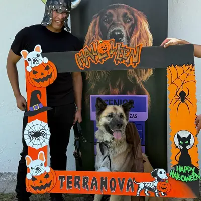 Un perro posa dentro del marco de fotos de Halloween de Terranova.
