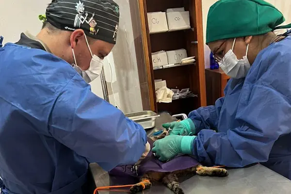 Personas de la comunidad esperan con sus perros y gatos el turno de atención.