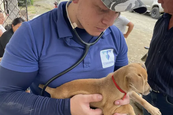 Un veterinario del equipo ausculta a un cachorro que sostiene en brazos.
