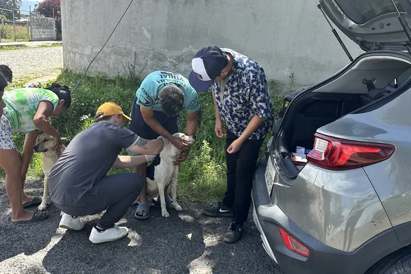 El equipo atiende a los perros de la comunidad junto al auto que sirvió de estación de trabajo.