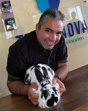 Un veterinario de Terranova sonríe con un conejo blanco y negro en brazos, en la recepción.