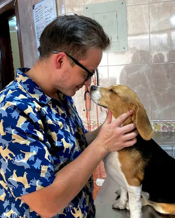 Un veterinario de Terranova acaricia a un beagle durante la consulta.